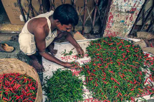 Heaps of hot peppers