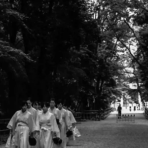 Shinto priestesses in Shimogami Jinja