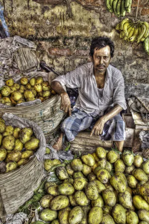 Man surrounded by mangoes