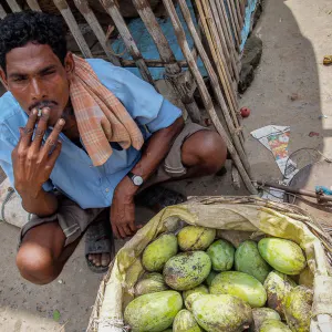 Mango seller resting and smoking