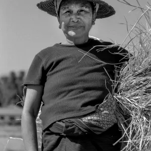 Farmer carrying straw