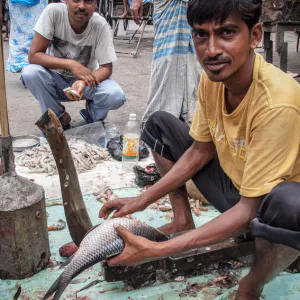 Man cutting fishes