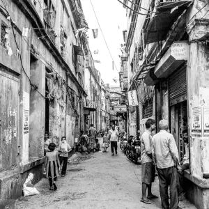 Tranquil street in Kolkata