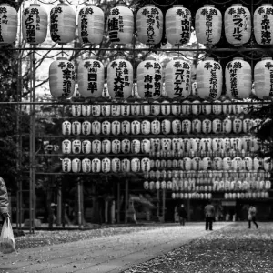 Many lanterns in in Okunitama Jinja