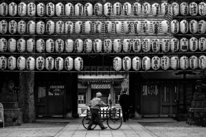 Lanterns in Okunitama Jinja