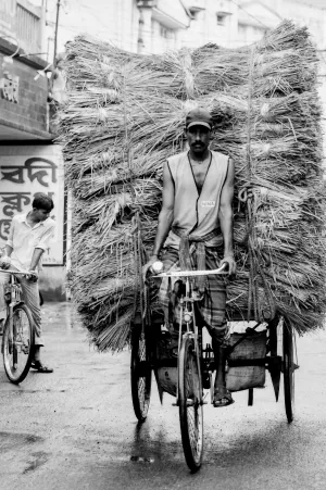 Burden on tricycle
