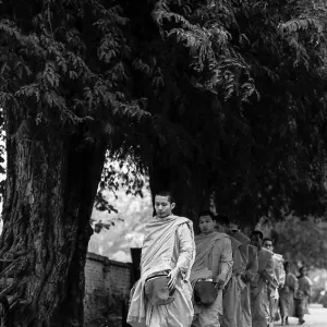 Monks walking in a line