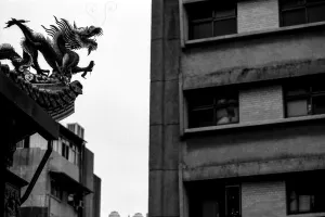 dragon and apartment