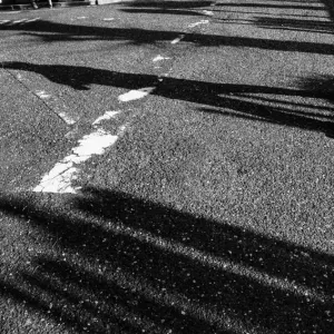 道路の上に落ちた通行人の影