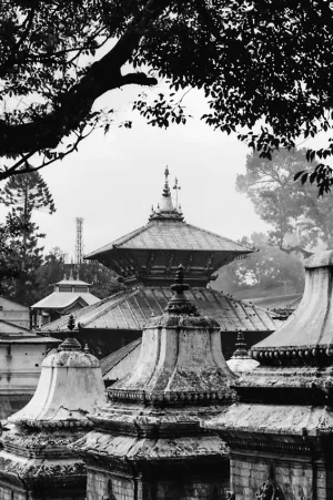 Roofs in Pashupatinath