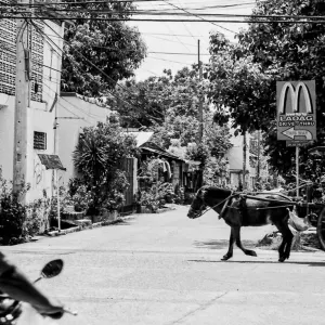 Horse cart passing by signboard of McDonald's