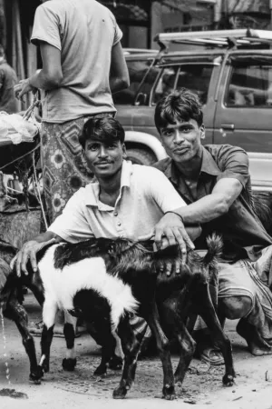 Goats and two men