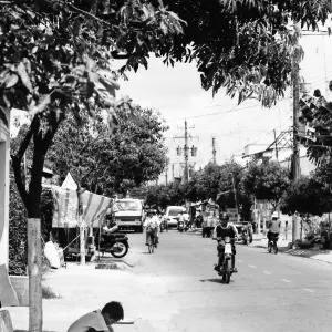 School boy in tree shade