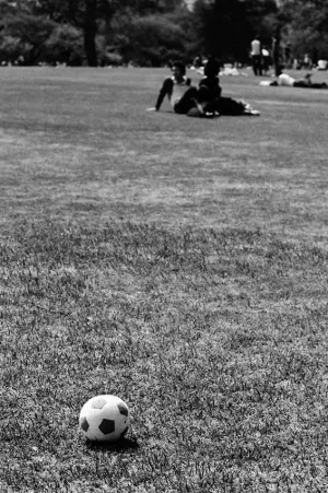 芝生の上のボール