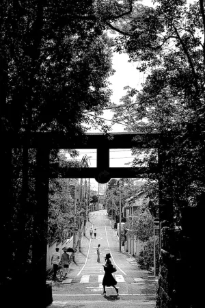Silhouetted woman on other side of Torii