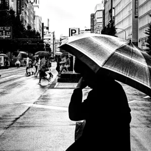 大通りの傘