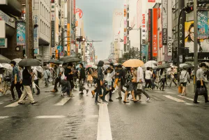 Pedestrians crossing