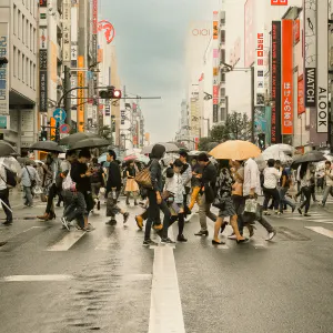 Pedestrians crossing