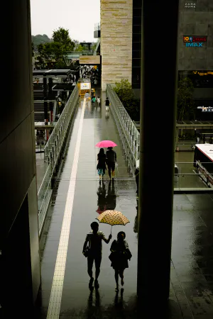 Young couple walking under umbrella