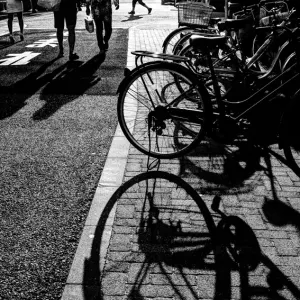 Silhouettes of bicycles
