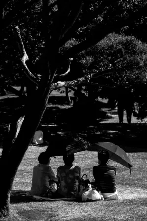 Women sitting in tree shade