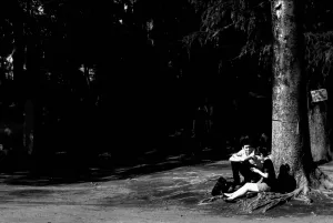couple sitting at root of tree
