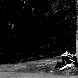couple sitting at root of tree