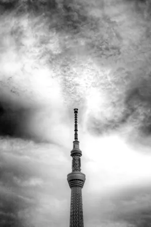 Skytree stretching up