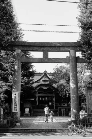 Torii of Sarue Jinja shrine