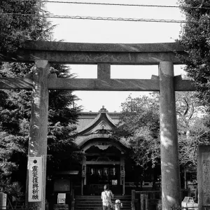 Torii of Sarue Jinja shrine