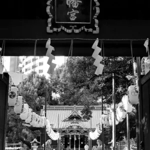 Entrance of Shinto shrine