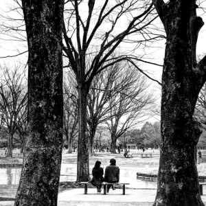 Couple sitting on bench