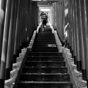 Steep stairway covered by Torii in Hie Jinja