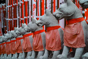 Fox statues in straight rows