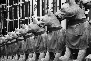 foxe statues in straight rows