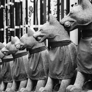 一列に並んだ狐の石像