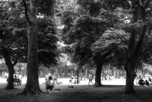 People relaxing in Yoyogi Park