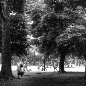 People relaxing in Yoyogi Park