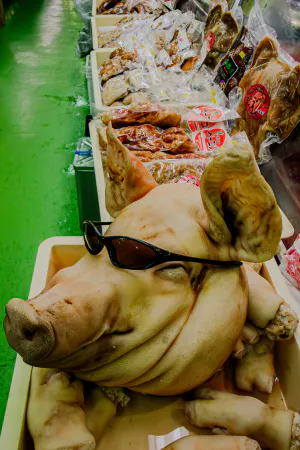 Pig head wearing sunglasses