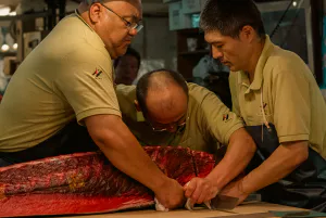 Men cutting tuna together